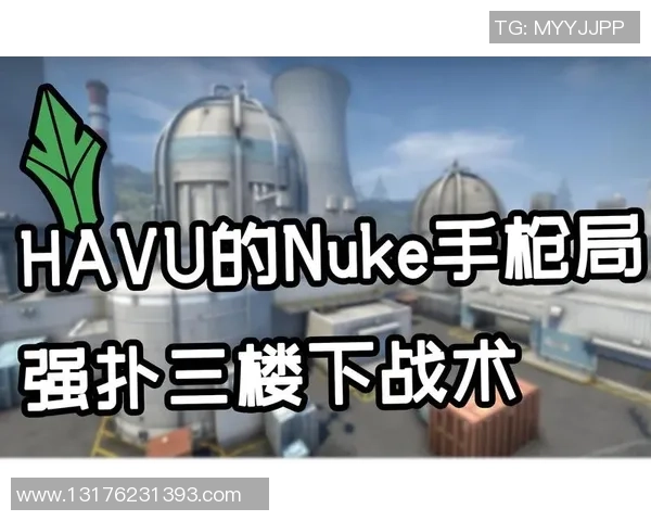 CSGO战术解析：深入探讨LNG战队的阵地战体系与策略运用