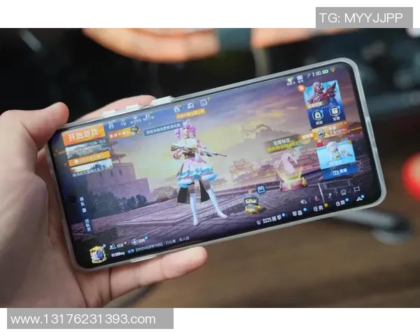 周芳畅谈和平精英发展历程与未来展望的深度专访