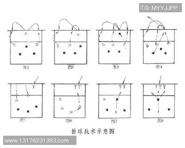 广州排球队反击战术分析与比赛表现的得失总结