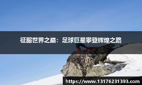 bellbet贝博官网